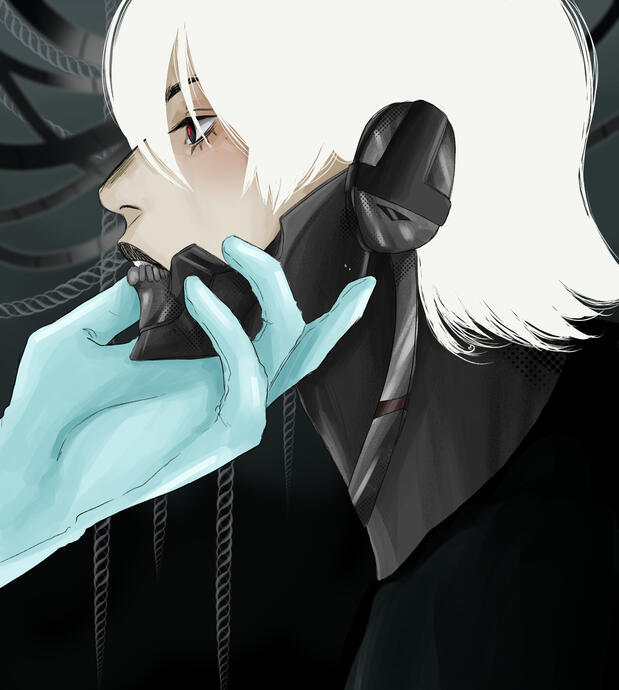 Raiden